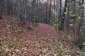 thumb_IMG_0502_1024