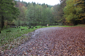 thumb_IMG_0502_1024